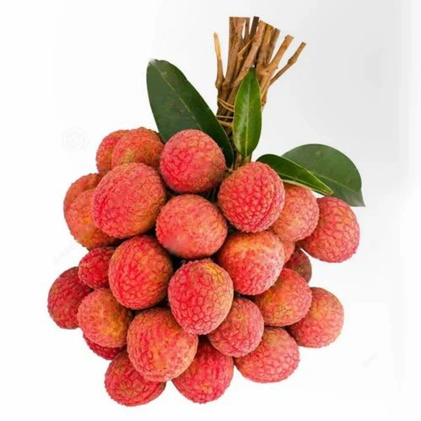 Litchi (Lichu)