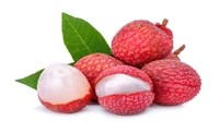 Litchi (Lichu) - Image 2