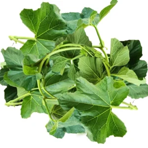 Lau Saag