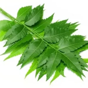 Neem Pata
