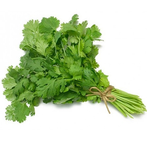 Coriander Leaves (Dhania)